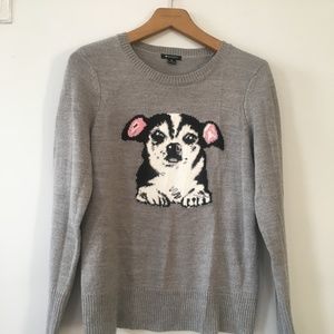 Adorable Chihuahua Sweater